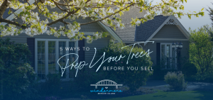 5 Ways to Prep Your Trees Before You Sell