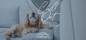 Chill Out: 5 Ways to Cool Your Home